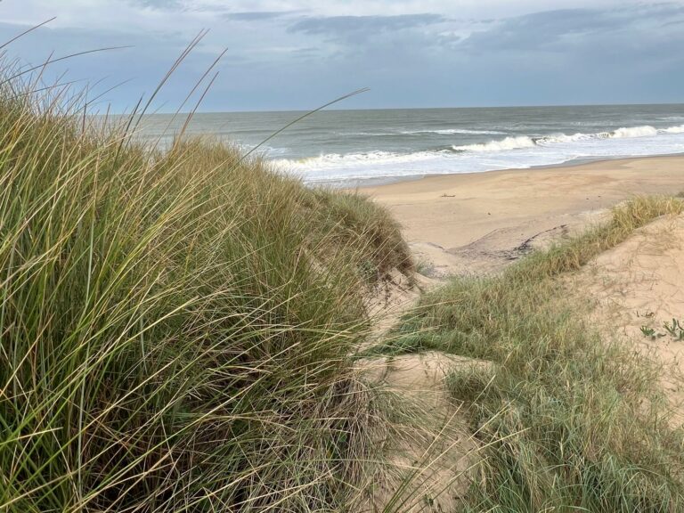 Campin municipal Le Gurp dans le Médoc à 2 minutes de la mer