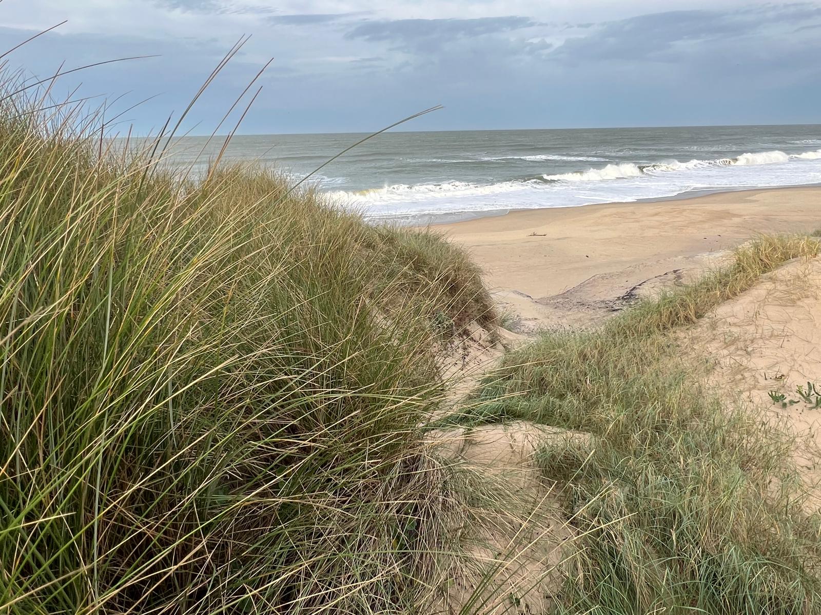Campin municipal Le Gurp dans le Médoc à 2 minutes de la mer